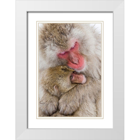 Japan-Nagano  White Modern Wood Framed Art Print with Double Matting by Goff, Ellen