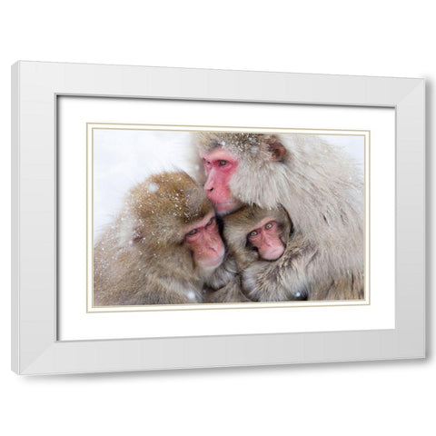 Japan-Nagano  White Modern Wood Framed Art Print with Double Matting by Goff, Ellen