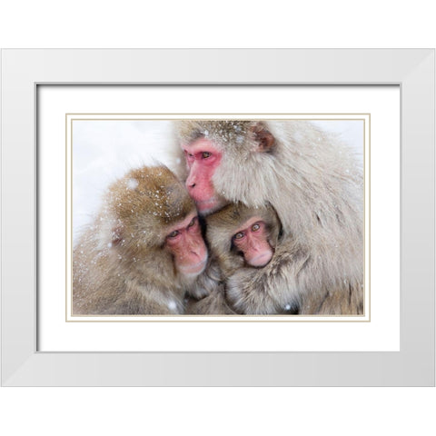 Japan-Nagano  White Modern Wood Framed Art Print with Double Matting by Goff, Ellen