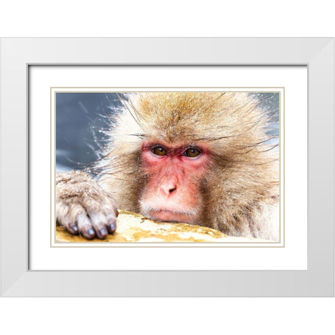 Japan-Nagano White Modern Wood Framed Art Print with Double Matting by Goff, Ellen