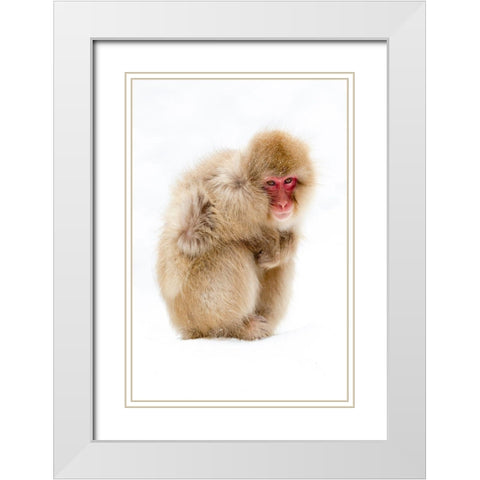 Japan-Nagano  White Modern Wood Framed Art Print with Double Matting by Goff, Ellen