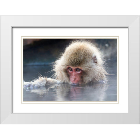 Japan-Nagano Portrait of a juvenile White Modern Wood Framed Art Print with Double Matting by Goff, Ellen