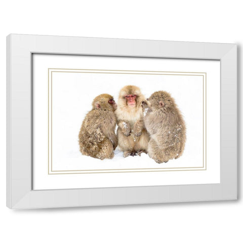 Japan-Nagano  White Modern Wood Framed Art Print with Double Matting by Goff, Ellen
