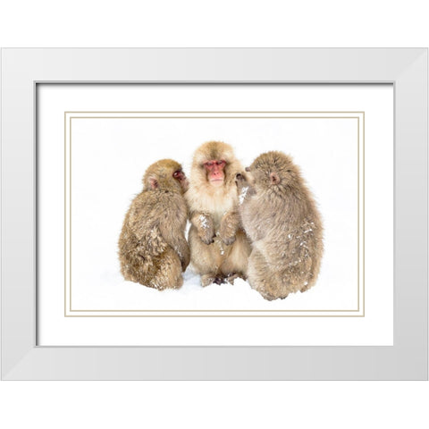Japan-Nagano  White Modern Wood Framed Art Print with Double Matting by Goff, Ellen