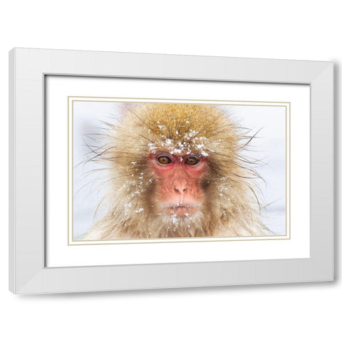 Japan-Nagano  White Modern Wood Framed Art Print with Double Matting by Goff, Ellen