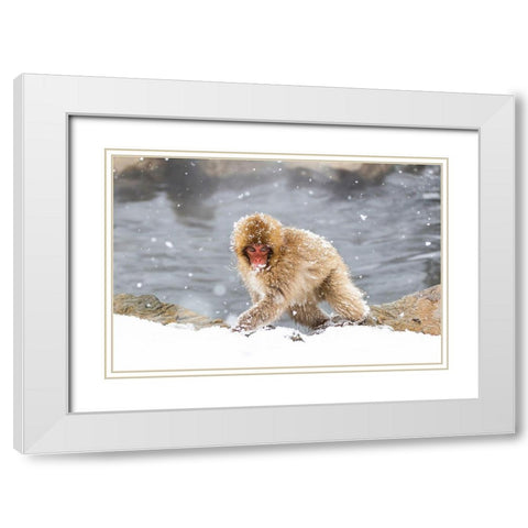 Japan-Nagano White Modern Wood Framed Art Print with Double Matting by Goff, Ellen