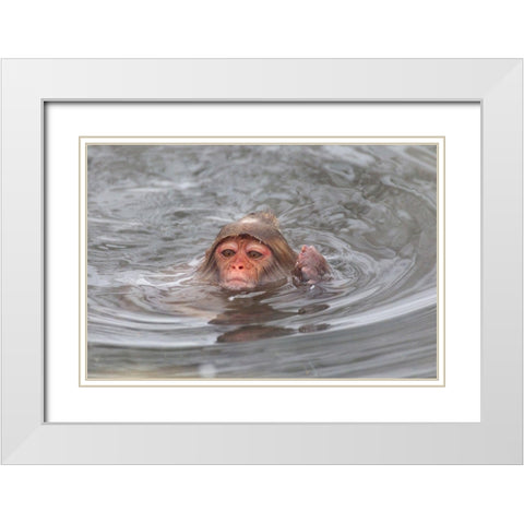 Japan-Nagano White Modern Wood Framed Art Print with Double Matting by Goff, Ellen