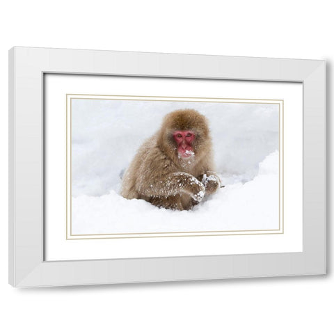 Japan-Nagano White Modern Wood Framed Art Print with Double Matting by Goff, Ellen