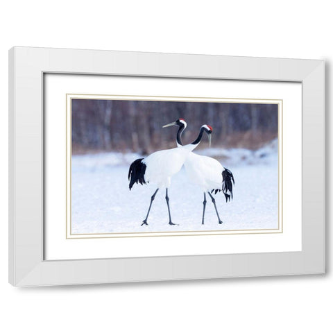 Japan-Hokkaido-Kushiro  White Modern Wood Framed Art Print with Double Matting by Goff, Ellen