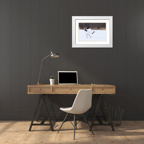 Japan-Hokkaido-Kushiro White Modern Wood Framed Art Print with Double Matting by Goff, Ellen
