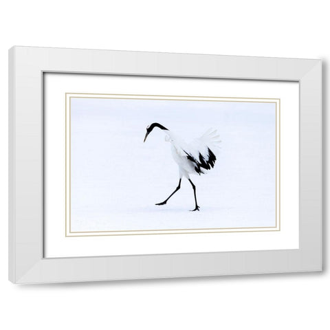Japan-Hokkaido-Kushiro A red-crowned crane assumes elegant positions during its courtship dance White Modern Wood Framed Art Print with Double Matting by Goff, Ellen
