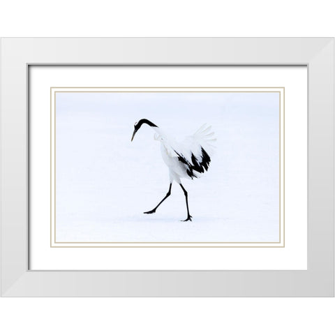 Japan-Hokkaido-Kushiro A red-crowned crane assumes elegant positions during its courtship dance White Modern Wood Framed Art Print with Double Matting by Goff, Ellen