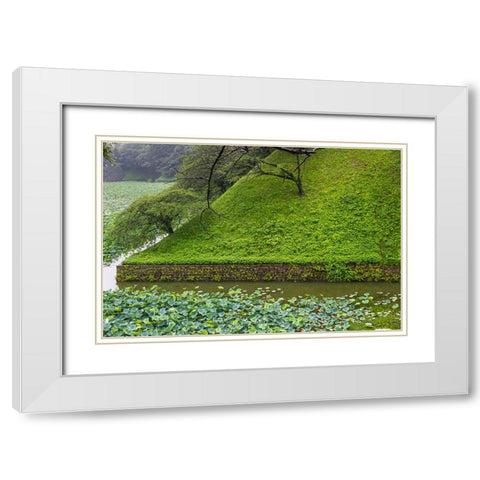 Lotus pond in the Royal Palace-Tokyo-Japan White Modern Wood Framed Art Print with Double Matting by Su, Keren