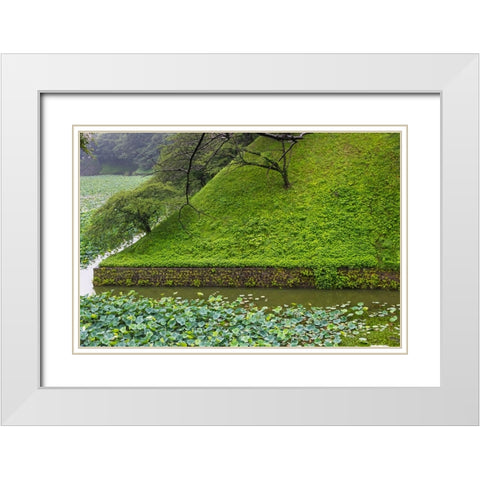 Lotus pond in the Royal Palace-Tokyo-Japan White Modern Wood Framed Art Print with Double Matting by Su, Keren