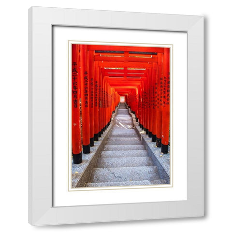 Famous Torii-or gates of the entrance to the Hie Shrine in Tokyo-Japan White Modern Wood Framed Art Print with Double Matting by Haddad, Sheila