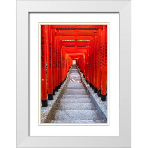 Famous Torii-or gates of the entrance to the Hie Shrine in Tokyo-Japan White Modern Wood Framed Art Print with Double Matting by Haddad, Sheila