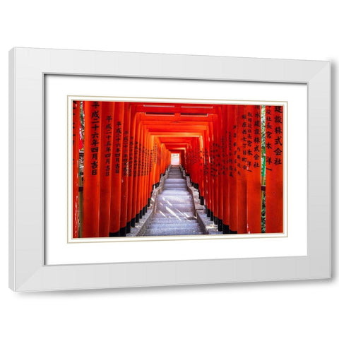 Famous Torii-or gates of the entrance to the Hie Shrine in Tokyo-Japan White Modern Wood Framed Art Print with Double Matting by Haddad, Sheila