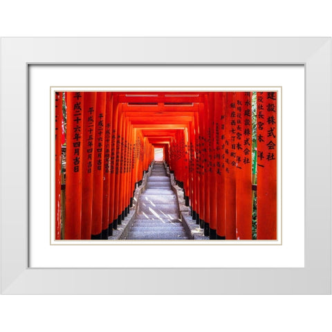 Famous Torii-or gates of the entrance to the Hie Shrine in Tokyo-Japan White Modern Wood Framed Art Print with Double Matting by Haddad, Sheila