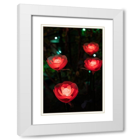 Illuminated red roses of the Ashikaga Flower park-Japan-at night in winter White Modern Wood Framed Art Print with Double Matting by Haddad, Sheila