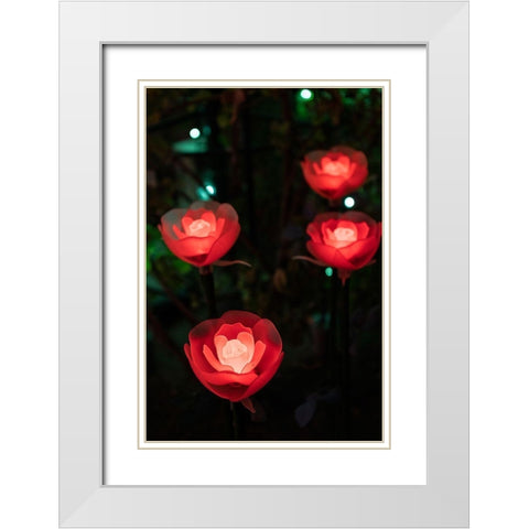 Illuminated red roses of the Ashikaga Flower park-Japan-at night in winter White Modern Wood Framed Art Print with Double Matting by Haddad, Sheila
