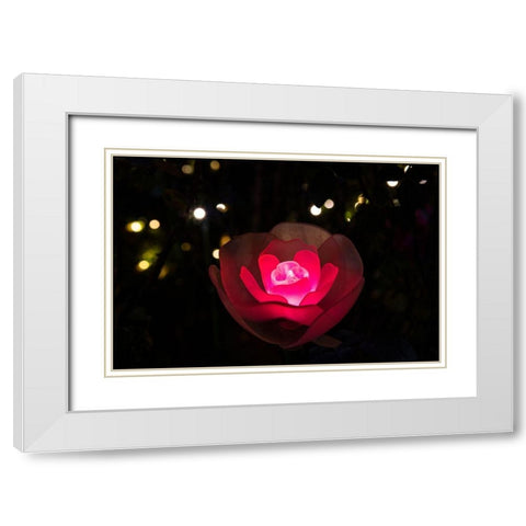 An illuminated red rose White Modern Wood Framed Art Print with Double Matting by Haddad, Sheila
