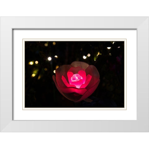 An illuminated red rose White Modern Wood Framed Art Print with Double Matting by Haddad, Sheila