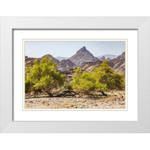 Middle East-Arabian Peninsula-Oman-Al Batinah South-Rustaq White Modern Wood Framed Art Print with Double Matting by Wilson, Emily M.
