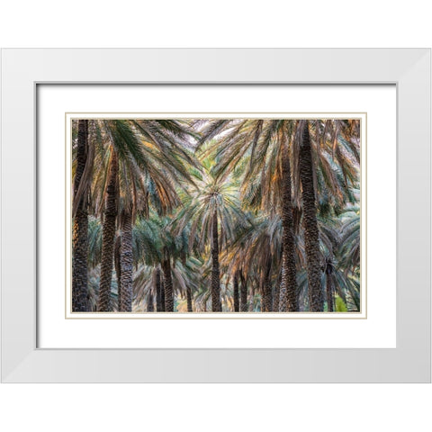 Middle East-Arabian Peninsula-Oman-Ad Dakhiliyah-Nizwa-Palm trees in Nizwa-Oman White Modern Wood Framed Art Print with Double Matting by Wilson, Emily M.