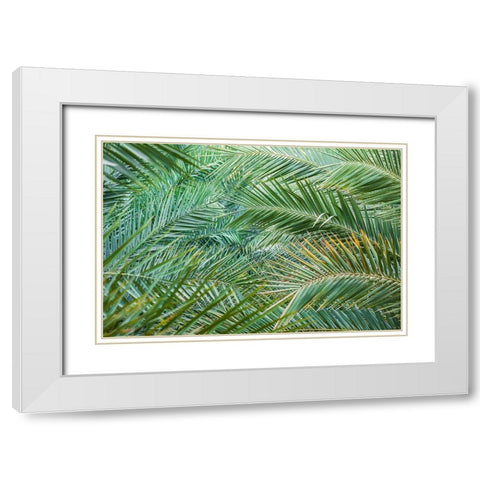 Middle East-Arabian Peninsula-Oman-Ad Dakhiliyah-Nizwa-Palm tree fronds in Nizwa-Oman White Modern Wood Framed Art Print with Double Matting by Wilson, Emily M.