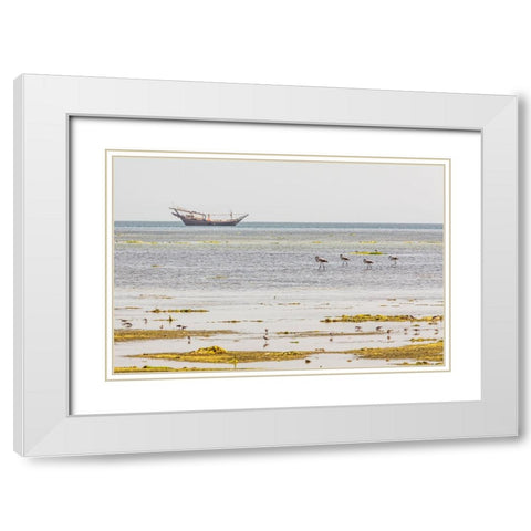 Middle East-Arabian Peninsula-Al Batinah South-Mahout-Flamingos White Modern Wood Framed Art Print with Double Matting by Wilson, Emily M.