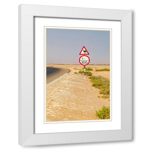 Middle East-Arabian Peninsula-Al Batinah South-Camel crossing White Modern Wood Framed Art Print with Double Matting by Wilson, Emily M.