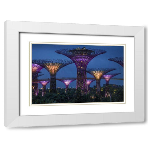 Singapore Garden by the Sea towers at night White Modern Wood Framed Art Print with Double Matting by Zuckerman, Jim