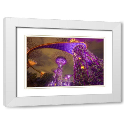 Singapore Garden by the Sea towers at night White Modern Wood Framed Art Print with Double Matting by Zuckerman, Jim