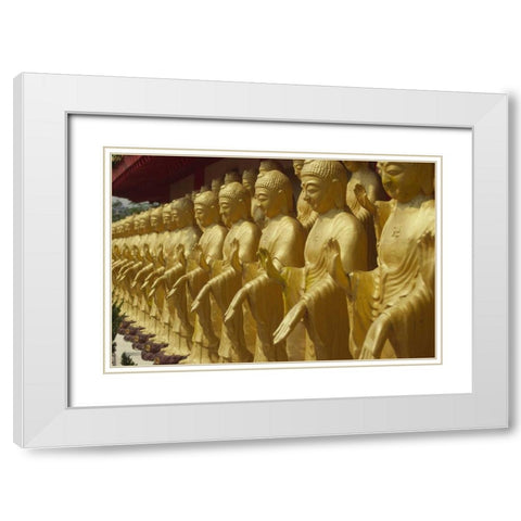 Taiwan, Foukuangshan Temple, Standing Buddha White Modern Wood Framed Art Print with Double Matting by Satushek, Steve