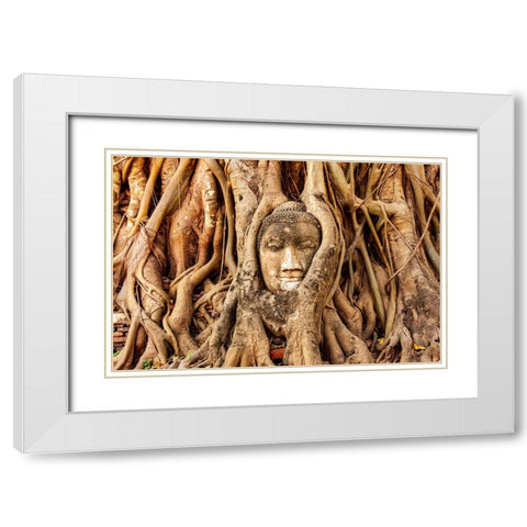 Thailand- Ayutthaya. Wat Mahathat. Buddha head engulfed in tree roots. White Modern Wood Framed Art Print with Double Matting by Haseltine, Tom