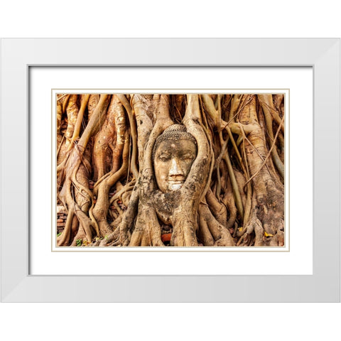 Thailand- Ayutthaya. Wat Mahathat. Buddha head engulfed in tree roots. White Modern Wood Framed Art Print with Double Matting by Haseltine, Tom
