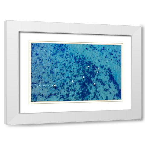 Flamingos flying at the Aegean coast-Turkey White Modern Wood Framed Art Print with Double Matting by Kabas, Ali