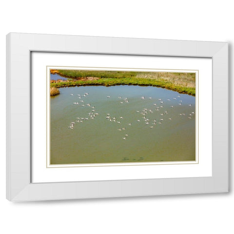 Flamingos flying in wetland on the Aegean coast-Turkey White Modern Wood Framed Art Print with Double Matting by Kabas, Ali
