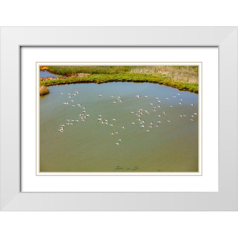 Flamingos flying in wetland on the Aegean coast-Turkey White Modern Wood Framed Art Print with Double Matting by Kabas, Ali