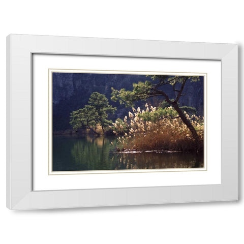 Turkey, Dalyan Pines, grasses and waterfowl White Modern Wood Framed Art Print with Double Matting by Satushek, Steve