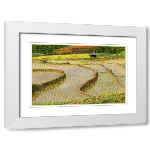 Vietnam -Rice paddies in the highlands of Sapa White Modern Wood Framed Art Print with Double Matting by Norring, Tom