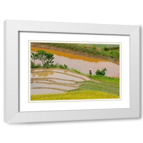Vietnam -Rice paddies in the highlands of Sapa White Modern Wood Framed Art Print with Double Matting by Norring, Tom