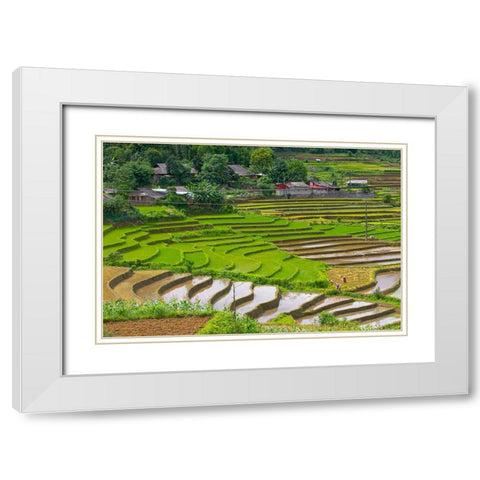 Vietnam -Rice paddies in the highlands of Sapa White Modern Wood Framed Art Print with Double Matting by Norring, Tom