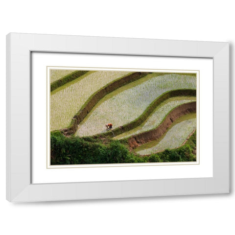 Vietnam -Rice paddies in the highlands of Sapa White Modern Wood Framed Art Print with Double Matting by Norring, Tom