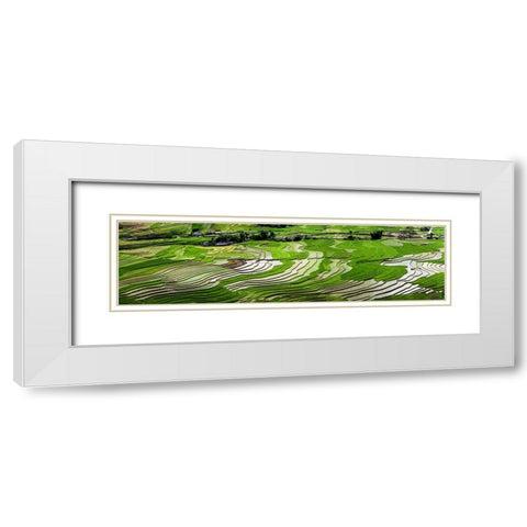 Vietnam -Rice paddies in the highlands of Sapa White Modern Wood Framed Art Print with Double Matting by Norring, Tom
