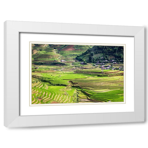 Vietnam -Rice paddies in the highlands of Sapa White Modern Wood Framed Art Print with Double Matting by Norring, Tom