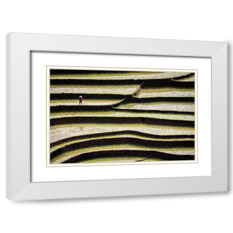 Vietnam -Rice paddies in the highlands of Sapa White Modern Wood Framed Art Print with Double Matting by Norring, Tom