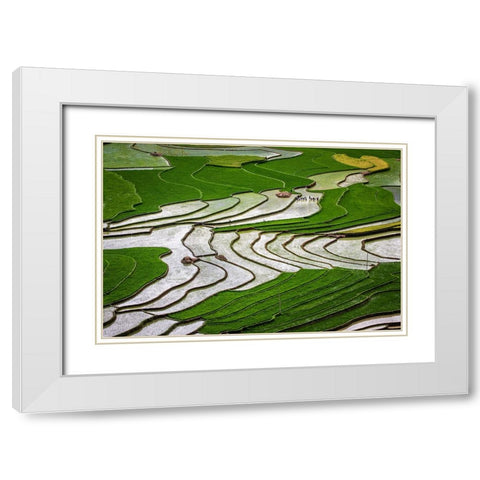 Vietnam -Rice paddies in the highlands of Sapa White Modern Wood Framed Art Print with Double Matting by Norring, Tom