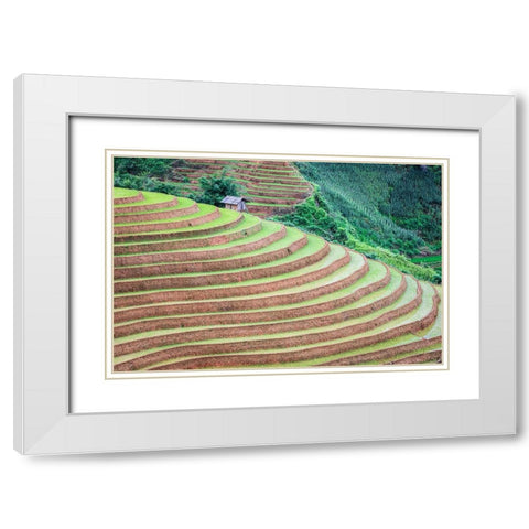 Vietnam -Rice paddies in the highlands of Sapa White Modern Wood Framed Art Print with Double Matting by Norring, Tom