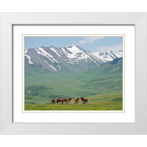 Horses on summer pasture The Suusamyr plain-a high valley in Tien Shan Mountains-Kyrgyzstan White Modern Wood Framed Art Print with Double Matting by Zwick, Martin
